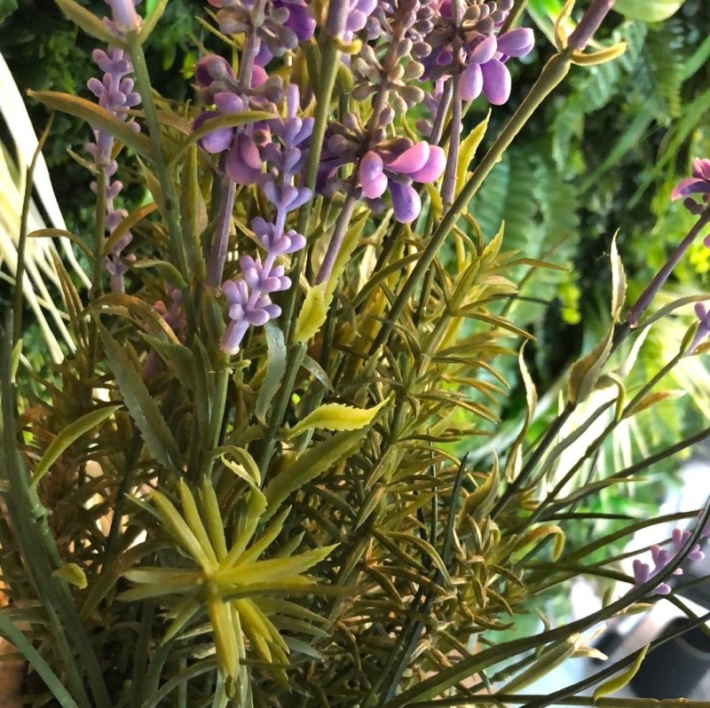 Lavender in Cement Pot - OUThaus