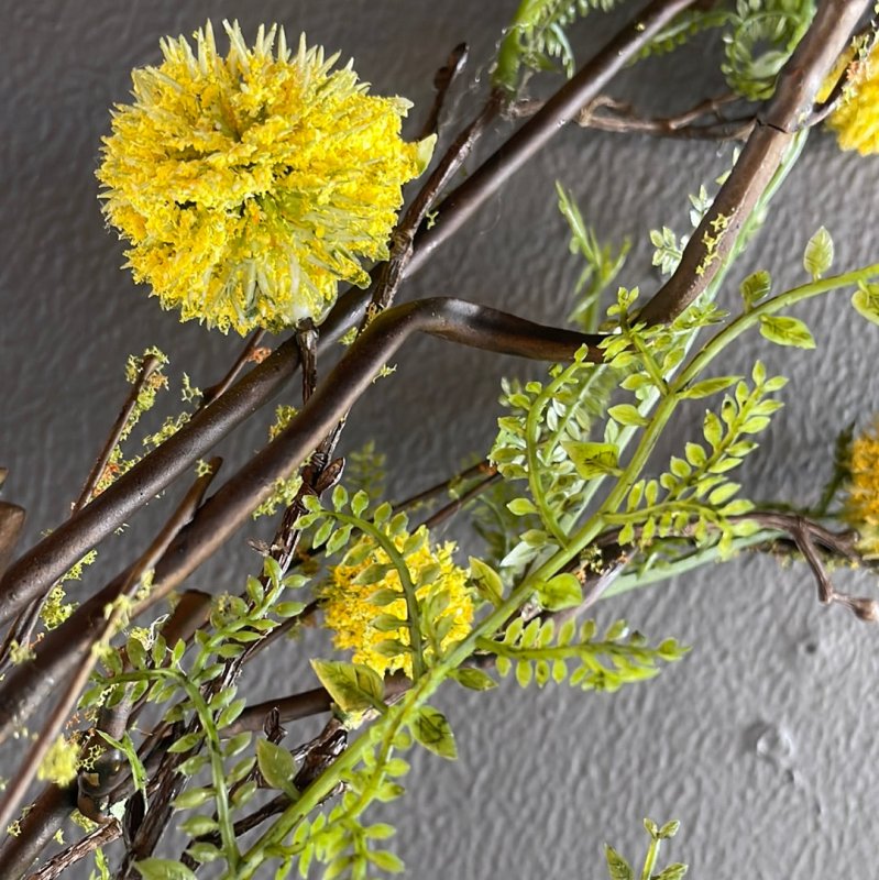 Mimosa Hamamelis Stem - OUThaus