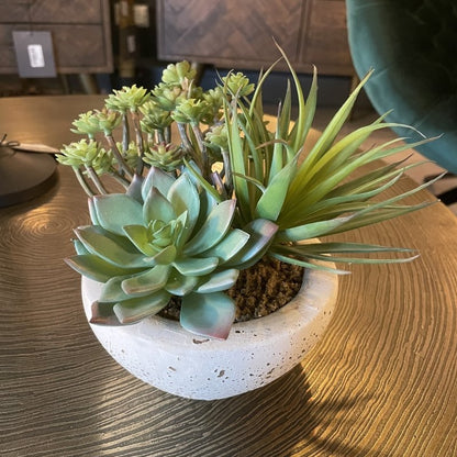 Mixed Faux Succulents In Cement Pot - OUThaus