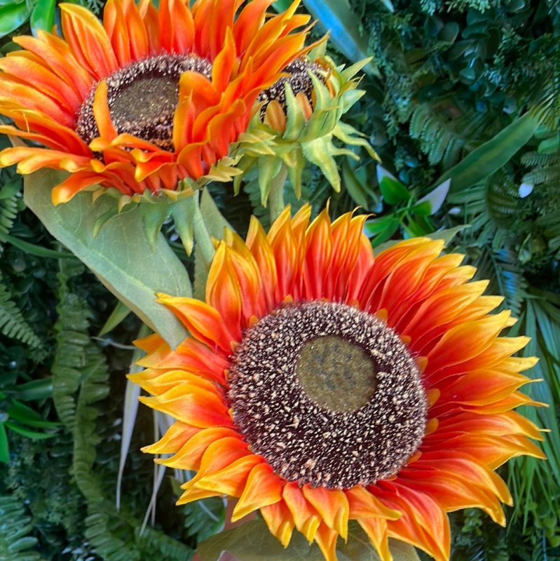 Multi Head Orange Sunflower - OUThaus