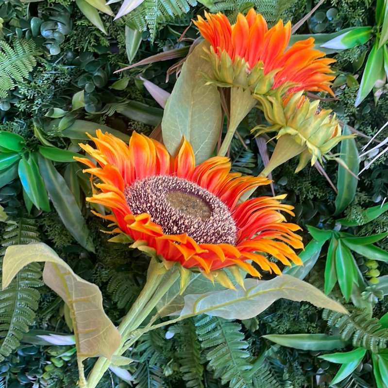 Multi Head Orange Sunflower - OUThaus