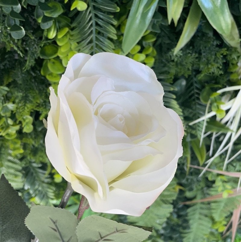 Open Rose Stem (Cream) - OUThaus