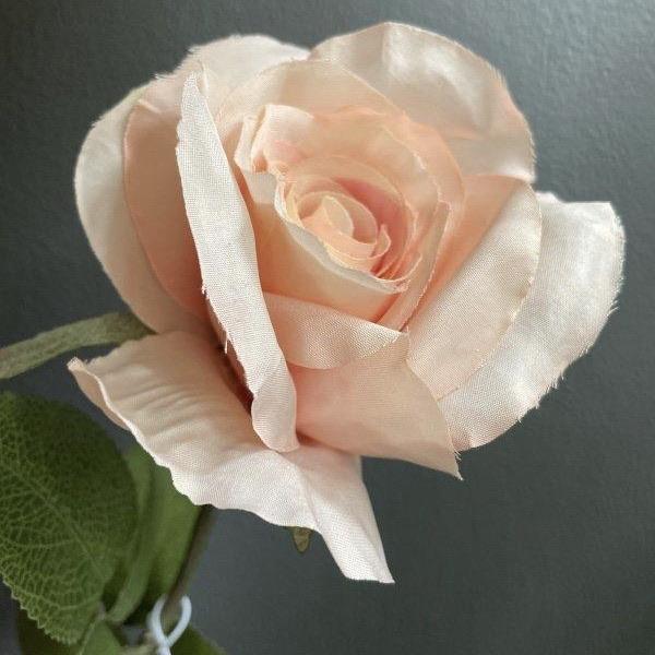 Open Rose Stem (Light Peach) - OUThaus