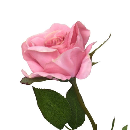 Open Rose Stem (Light Pink) - OUThaus