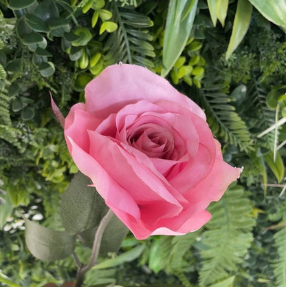 Open Rose Stem (Light Pink) - OUThaus