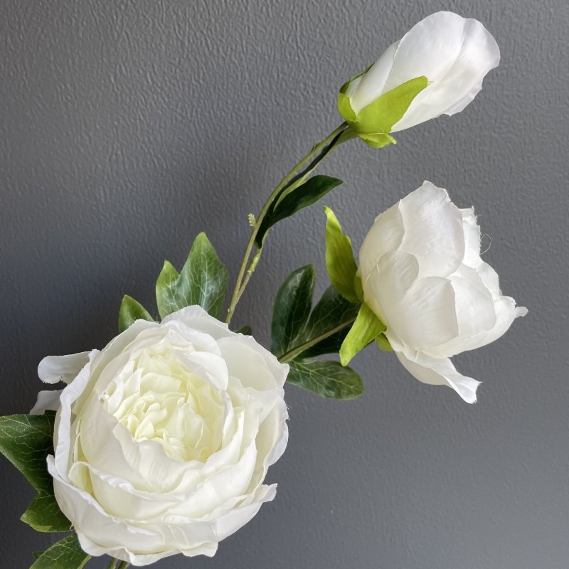 Peony (White) - OUThaus