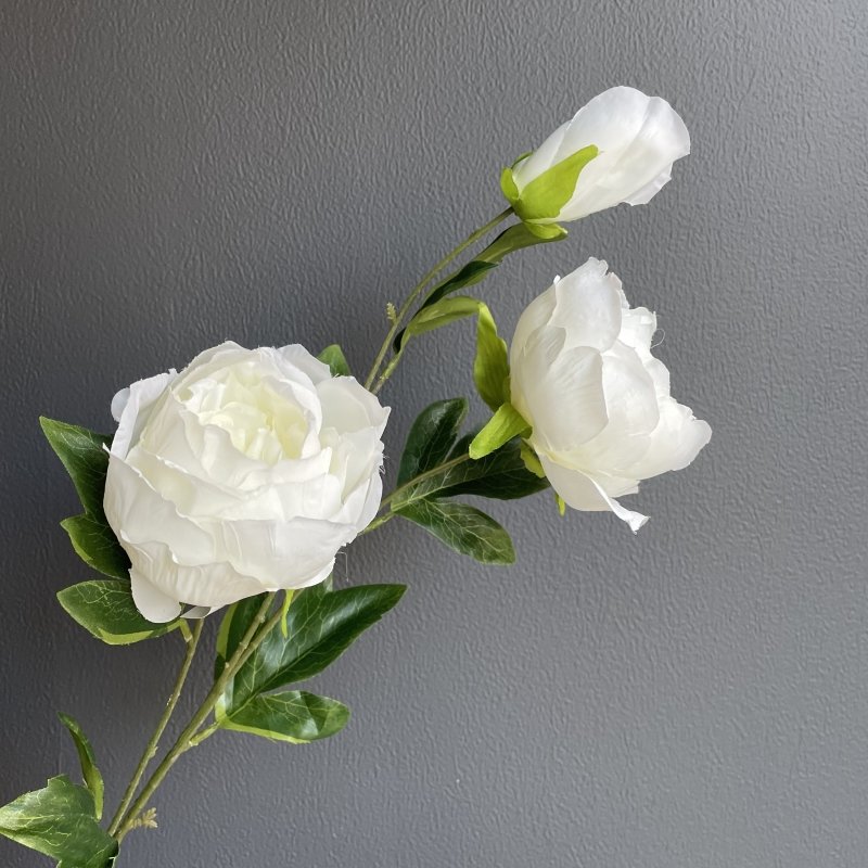 Peony (White) - OUThaus