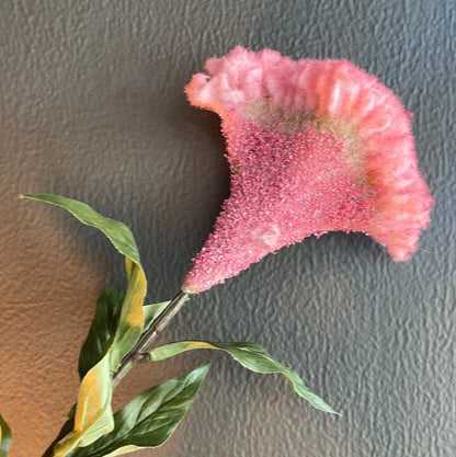 Pink Flocked Celosia Stem (Brains) - OUThaus