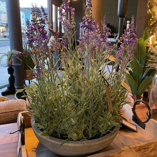 Potted Lavender Bowl - OUThaus