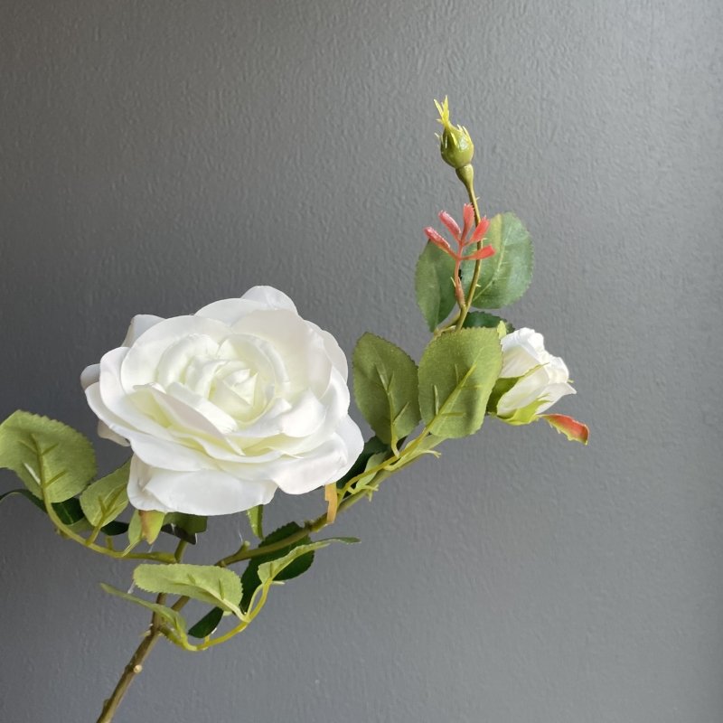 Rose Amanda Stem (White) - OUThaus