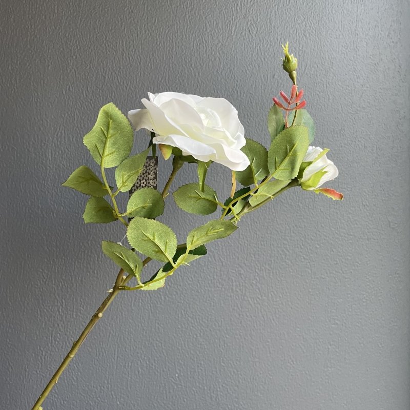 Rose Amanda Stem (White) - OUThaus