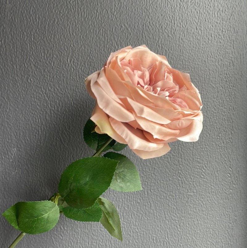 Rose (antique mauve) - OUThaus