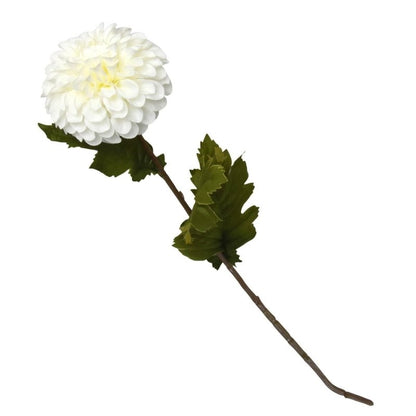 Single White Flower Stem with Leaves