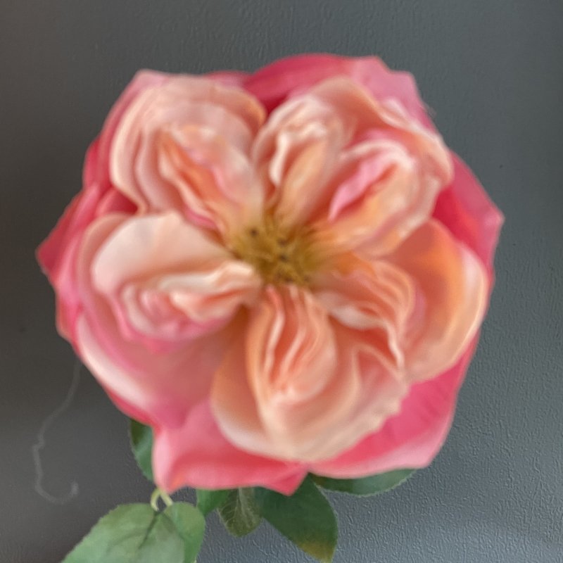 Single Garden Rose Stem (Hot Pink) - OUThaus