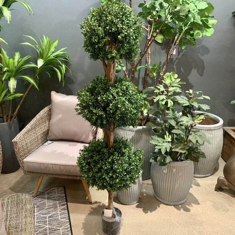 Triple Bay Topiary - OUThaus